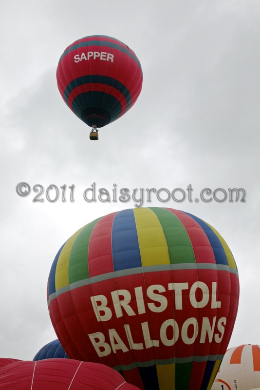 BB11-j-0829a.JPG