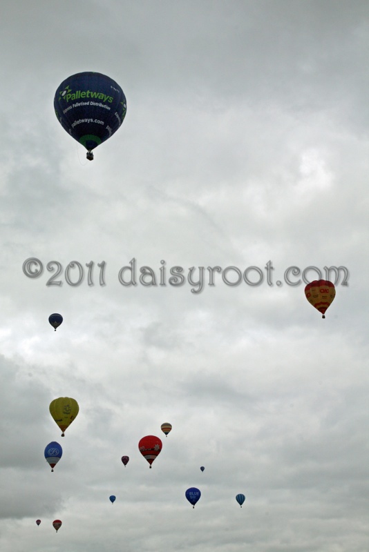 BB11-j-0838a.JPG