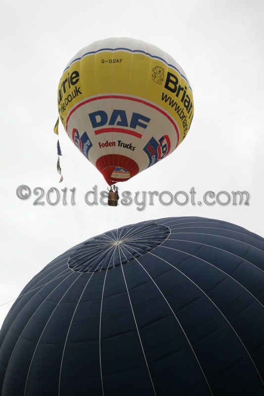 BB11-j-0877.JPG