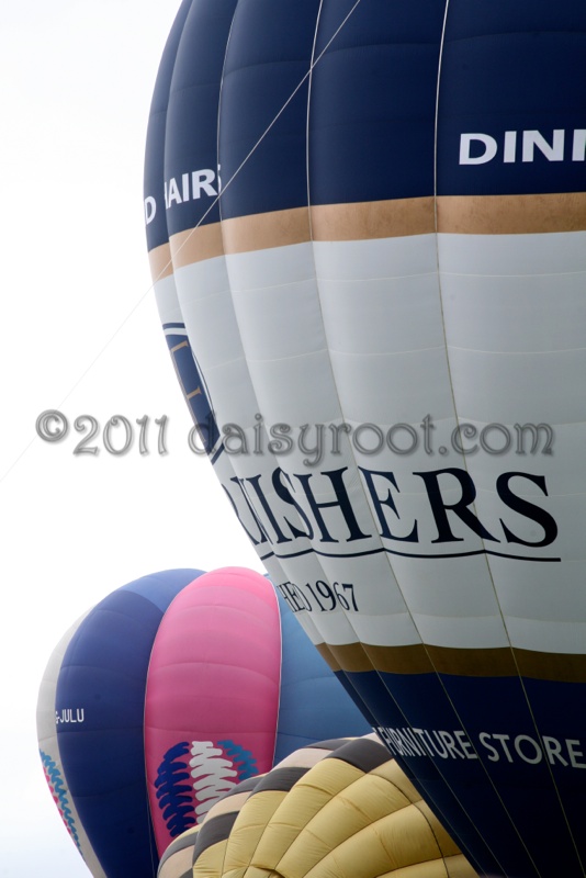 BB11-j-0885.JPG