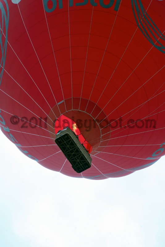 BB11-j-0933a.JPG