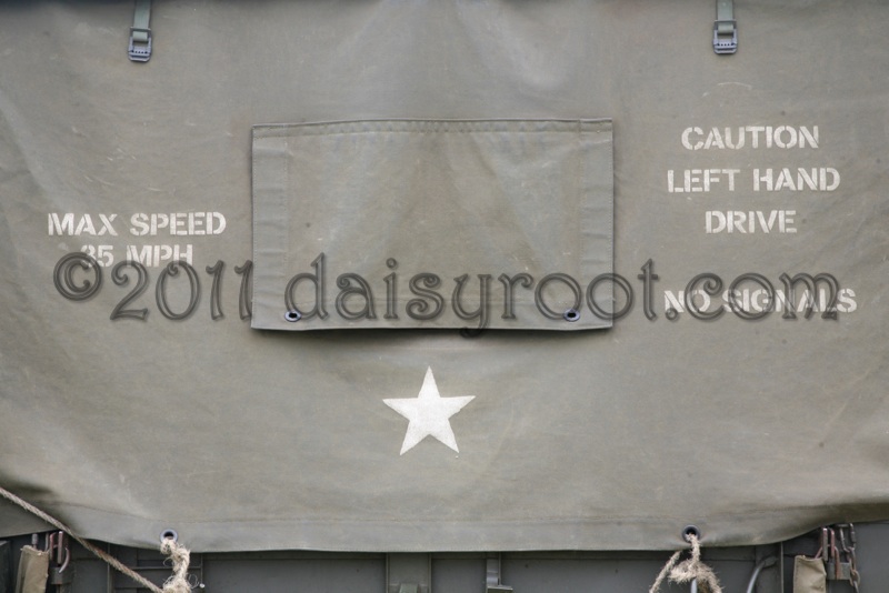 VS11-j-1704.JPG
