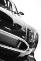 EPV0117b-w