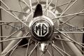 MG15-j-7778
