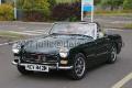 MG17-m-2407